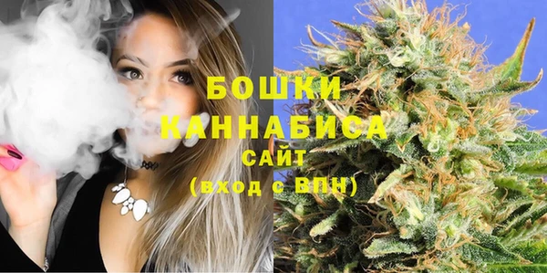 спайс Каменка