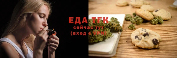 спайс Каменка