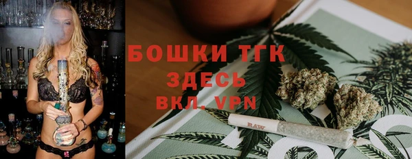 спайс Каменка