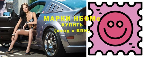 спайс Каменка