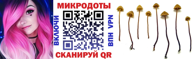 Купить закладки  Пойковский  Галлюциногенные грибы прущие грибы 